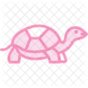 Marginated Tortoise Icon