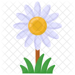 Marguerite Flower  Icon