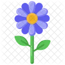 Marguerite Flower  Icon