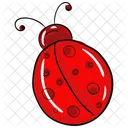 Marienkafer Insekt Kafer Symbol