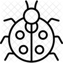 Marienkafer Insekt Kafer Symbol