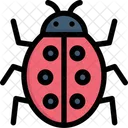 Marienkäfer  Symbol