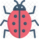 Marienkafer Insekt Tier Symbol