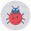 Kafer Insekt Marienkafer Symbol