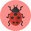 Marienkafer Insekt Kafer Symbol