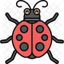 Marienkafer Kafer Insekt Symbol