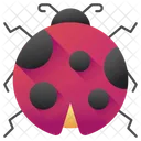 Marienkafer Tier Insekt Symbol