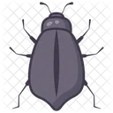 Marienkäfer  Symbol
