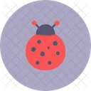 Marienkafer Fruhling Ostern Symbol