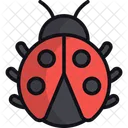 Marienkafer Insekt Marienkafer Symbol