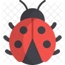 Marienkafer Insekt Marienkafer Symbol