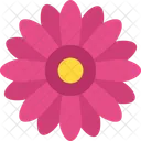 Marigold Spring Generic Icon
