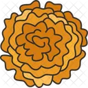 Marigold Flower Blossom Icon