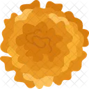 Marigold Flower Blossom Icon