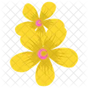 Marigold Generic Flower Seasonal Blossom Icon