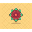 Marigold Spring Flower Flower Icône