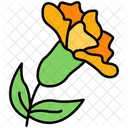Marigold Flower Festival Icon