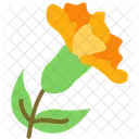 Marigold  Icon