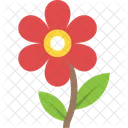 Daisy Spring Seasonal Icon