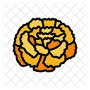 Marigold Blossom Spring Icon