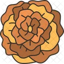 Marigold Flower Floral Icon