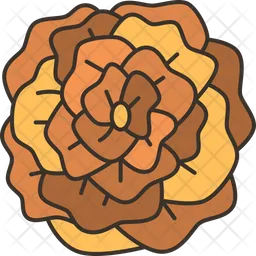 Marigold  Icon