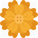 Marigold Desert Wildflower Icon