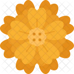 Marigold  Icon