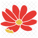 Marigold  Icon