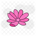 Marigold Flower Floral Icon