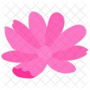 Marigold Flower Floral Icon