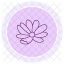 Marigold Flower Floral Icon