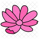 Marigold Flower Floral Icon