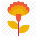 Marigold  Icon