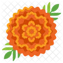 Marigolds  Icon
