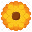 Marigolds Flower Nature Icon