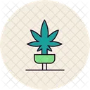 Marijuana  Icon