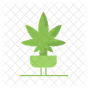 Marijuana  Icono