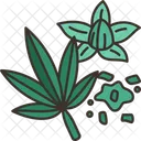 Marijuana  Icono