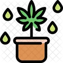 Pote Cannabis Marihuana Icono