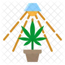 Marihuanapflanze Marihuana Pflanze Icon