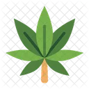 Marijuana Cannabis Weed Icon