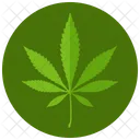 Marijuana Leaf Ayurveda Icon