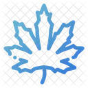 Marijuana Leaf Organic Icon