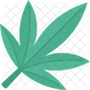 Marijuana Leaf Cannabis Icon