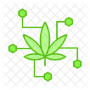 Marijuana Ingredient Compound Icon