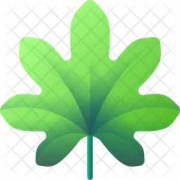Marijuana leaf  Icon
