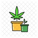 Pot Marijuana Cannabis Icône