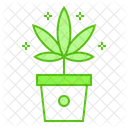 Marijuana Plant  Icon