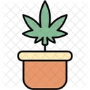 Plant Pot Cannabis Cannabidiol Icon